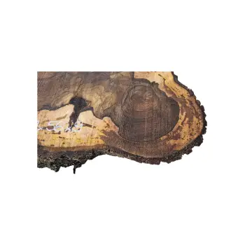 Plaster Orzecha Włoskiego po Suszarni 87x56x9cm