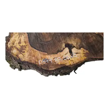 Plaster Orzecha Włoskiego po Suszarni 87x56x9cm