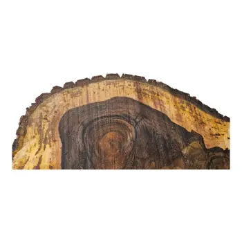 Plaster Orzecha Włoskiego po Suszarni 87x56x9cm