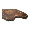 Plaster Orzecha Włoskiego po Suszarni 108x57x10cm