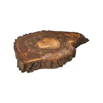 Plaster Orzecha Włoskiego po Suszarni 91x56x10cm