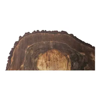 Plaster Orzecha Włoskiego po Suszarni 91x56x10cm