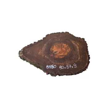 Plaster Orzecha Włoskiego po Suszarni 80x57x9cm