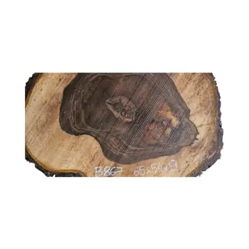 Plaster Orzecha Włoskiego po Suszarni 65x54x9cm