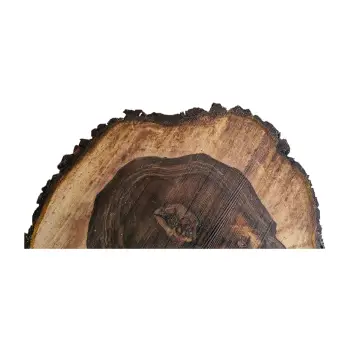 Plaster Orzecha Włoskiego po Suszarni 65x54x9cm