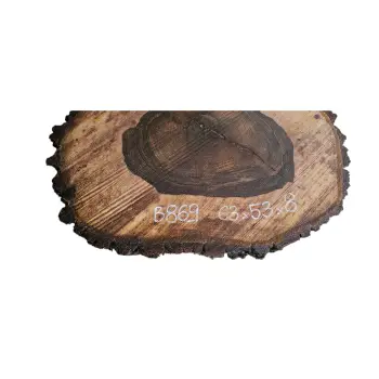 Plaster Orzecha Włoskiego po Suszarni 63x53x8cm