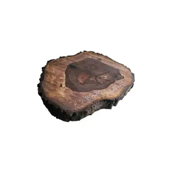 Plaster Orzecha Włoskiego po Suszarni 67x53x9cm