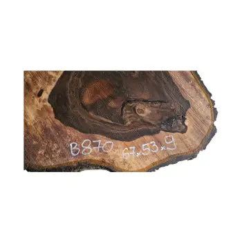 Plaster Orzecha Włoskiego po Suszarni 67x53x9cm