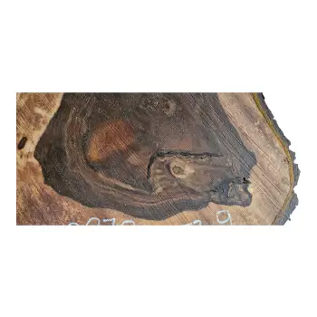 Plaster Orzecha Włoskiego po Suszarni 67x53x9cm