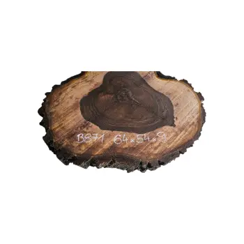 Plaster Orzecha Włoskiego po Suszarni 64x54x9cm