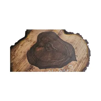 Plaster Orzecha Włoskiego po Suszarni 64x54x9cm