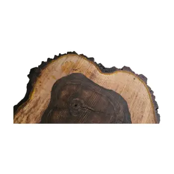 Plaster Orzecha Włoskiego po Suszarni 63x54x8cm