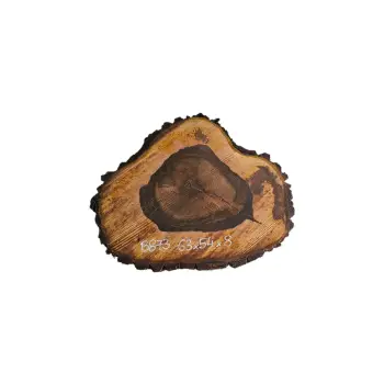 Plaster Orzecha Włoskiego po Suszarni 63x54x8cm