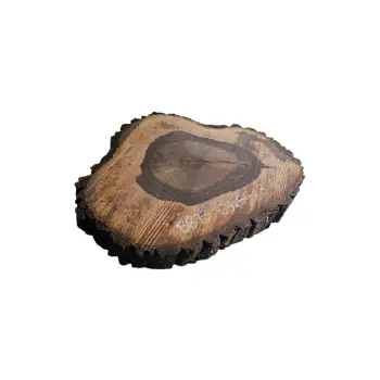 Plaster Orzecha Włoskiego po Suszarni 63x54x8cm