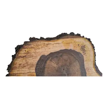 Plaster Orzecha Włoskiego po Suszarni 63x54x8cm