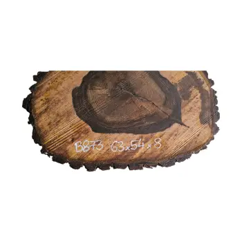 Plaster Orzecha Włoskiego po Suszarni 63x54x8cm