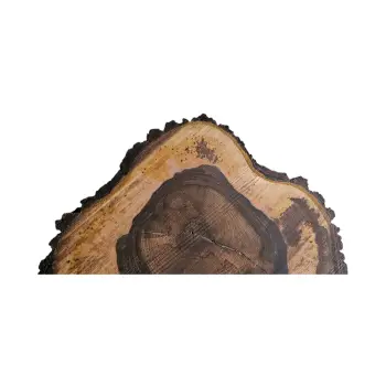Plaster Orzecha Włoskiego po Suszarni 63x54x8cm