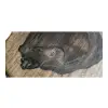 Plaster Orzecha Włoskiego po Suszarni 67x54x7-8,5cm