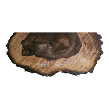 Plaster Orzecha Włoskiego po Suszarni 67x54x7-8,5cm