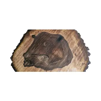 Plaster Orzecha Włoskiego po Suszarni 67x54x7-8,5cm