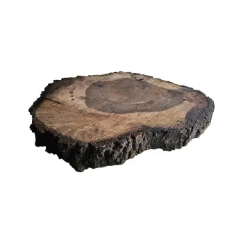 Plaster Orzecha Włoskiego po Suszarni 67x54x7-8,5cm