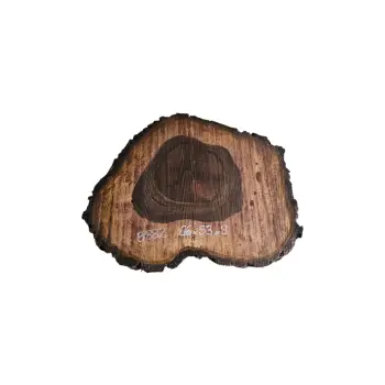 Plaster Orzecha Włoskiego po Suszarni 66x53x9cm