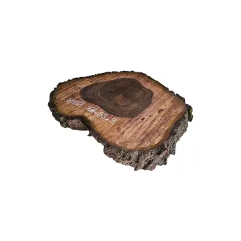 Plaster Orzecha Włoskiego po Suszarni 66x53x9cm