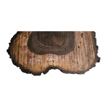 Plaster Orzecha Włoskiego po Suszarni 66x53x9cm