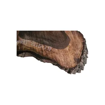 Plaster Orzecha Włoskiego po Suszarni 72x54x9cm