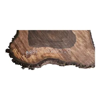 Plaster Orzecha Włoskiego po Suszarni 66x54x9cm