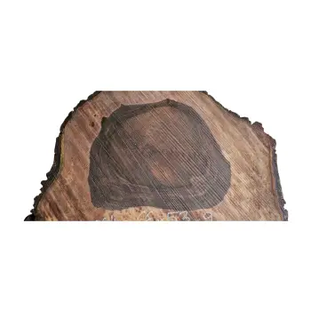 Plaster Orzecha Włoskiego po Suszarni 66x54x9cm