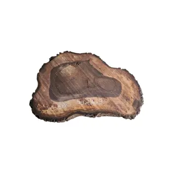 Plaster Orzecha Włoskiego po Suszarni 79x54x9cm