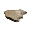 Plaster Orzecha Włoskiego po Suszarni 88x64x8cm