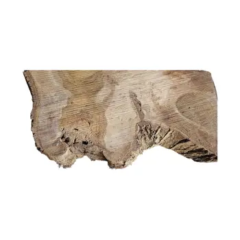 Plaster Orzecha Włoskiego po Suszarni 88x64x8cm