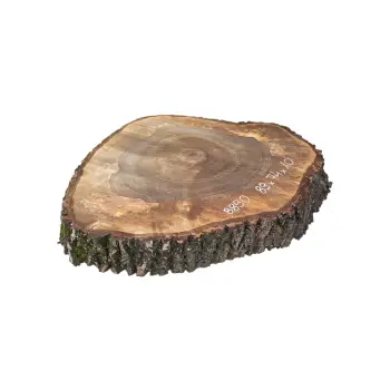 Plaster Orzecha Włoskiego po Suszarni 89x74x10cm