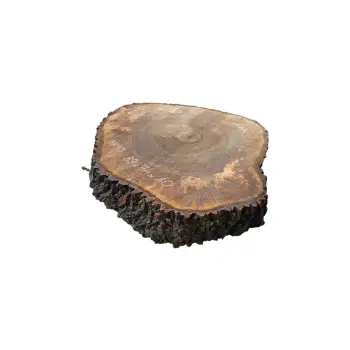 Plaster Orzecha Włoskiego po Suszarni 89x74x10cm