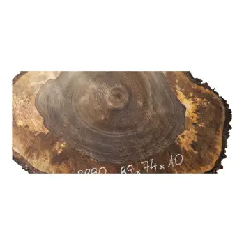 Plaster Orzecha Włoskiego po Suszarni 89x74x10cm