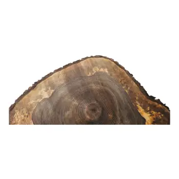 Plaster Orzecha Włoskiego po Suszarni 89x74x10cm