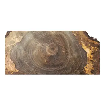 Plaster Orzecha Włoskiego po Suszarni 89x74x10cm