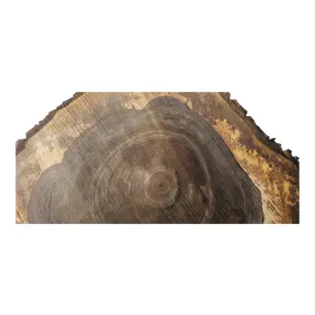 Plaster Orzecha Włoskiego po Suszarni 84x72x10cm