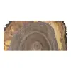 Plaster Orzecha Włoskiego po Suszarni 84x72x10cm