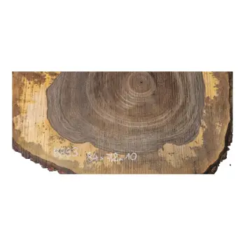 Plaster Orzecha Włoskiego po Suszarni 84x72x10cm