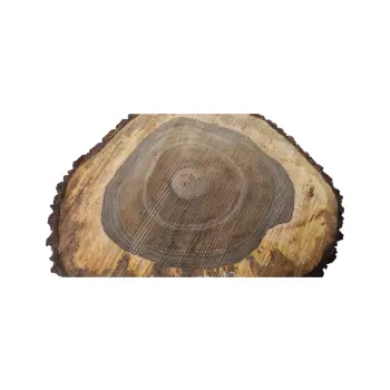 Plaster Orzecha Włoskiego po Suszarni 80x70x10cm