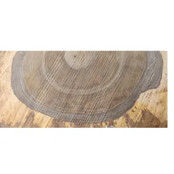 Plaster Orzecha Włoskiego po Suszarni 80x70x10cm