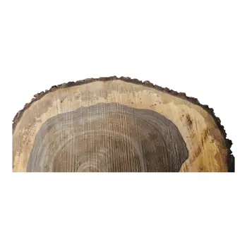 Plaster Orzecha Włoskiego po Suszarni 80x70x10cm