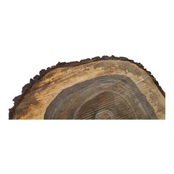 Plaster Orzecha Włoskiego po Suszarni 80x70x10cm