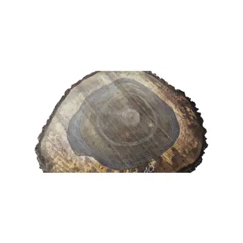 Plaster Orzecha Włoskiego po Suszarni 79x70x10cm