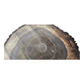 Plaster Orzecha Włoskiego po Suszarni 79x70x10cm