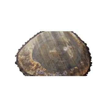 Plaster Orzecha Włoskiego po Suszarni 76x65x10cm