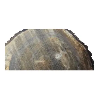 Plaster Orzecha Włoskiego po Suszarni 76x65x10cm